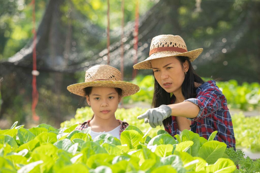 What Exactly is Aquaponics? A Promising Tool for Eco-Friendly Farming.